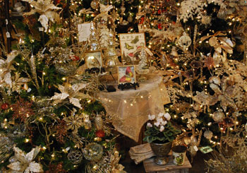 Display