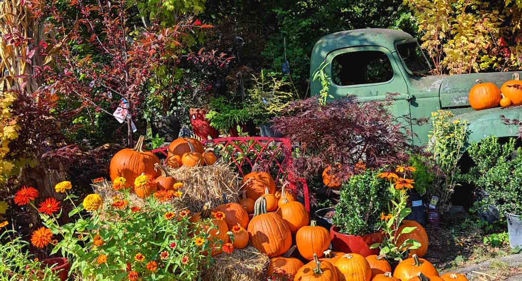Pumpkins