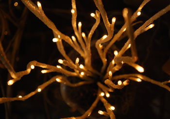 Lights