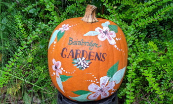 Pumpkin Walk